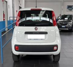 Auto - Fiat panda 1.2 pop