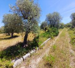Appartamenti in Vendita - Casa indipendente in vendita a sorso periferia