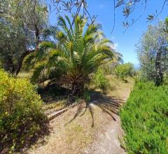 Appartamenti in Vendita - Casa indipendente in vendita a sorso periferia