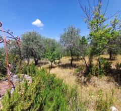 Appartamenti in Vendita - Casa indipendente in vendita a sorso periferia