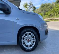Auto - Fiat panda 1.0 firefly s&s hybrid