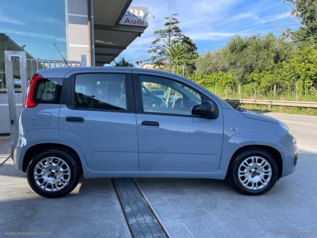 Auto - Fiat panda 1.0 firefly s&s hybrid