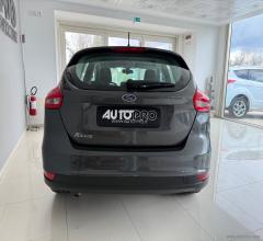 Auto - Ford focus 1.5 tdci 95 cv s&s plus