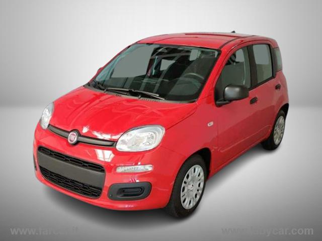Fiat panda 1.0 firefly s&s hybrid Auto - Fiat panda 1.0 firefly s&s hybrid