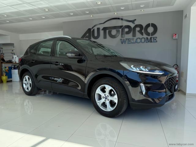 Auto - Ford kuga 1.5 ecoblue 120 cv 2wd connect