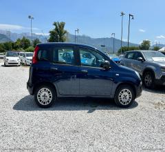 Auto - Fiat panda 1.2 easypower lounge