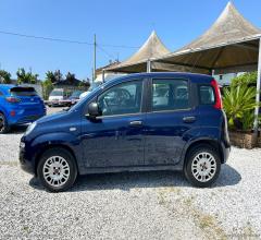 Auto - Fiat panda 1.2 easypower lounge