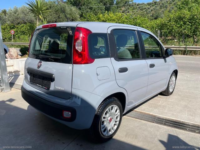 Auto - Fiat panda 1.0 firefly s&s hybrid