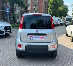 Auto - Fiat panda 1.0 firefly s&s hybrid city life