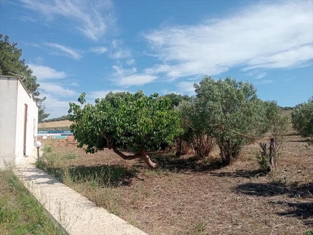Appartamenti in Vendita - Casa indipendente in vendita a misiliscemi fontanasalsa