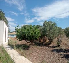 Appartamenti in Vendita - Casa indipendente in vendita a misiliscemi fontanasalsa