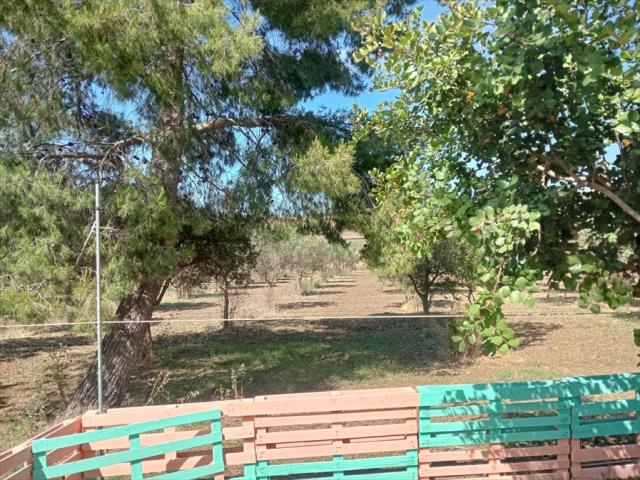 Appartamenti in Vendita - Casa indipendente in vendita a misiliscemi fontanasalsa