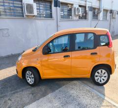Auto - Fiat panda 1.2 lounge