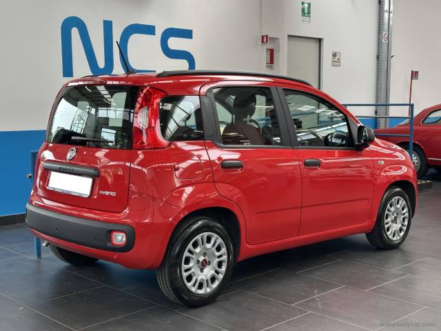 Auto - Fiat panda 1.0 firefly s&s hybrid