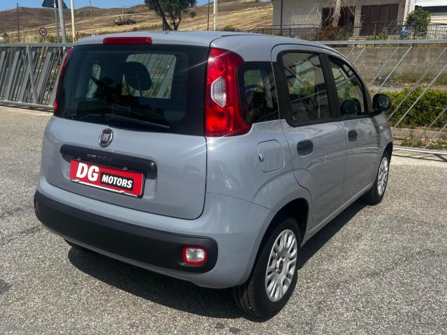 Auto - Fiat panda 1.2 easy