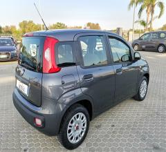 Auto - Fiat panda 1.2 easy