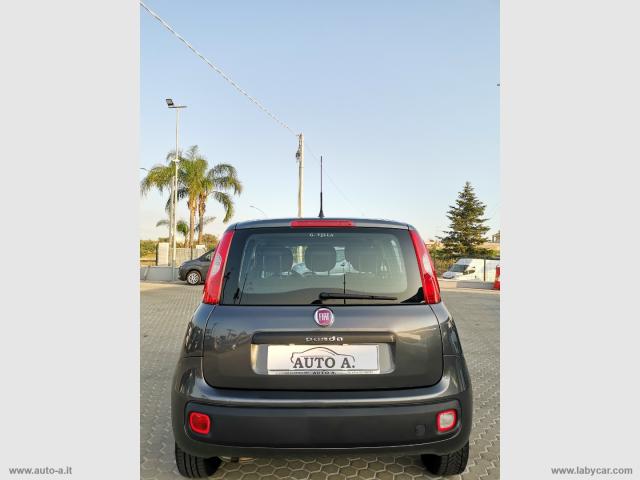 Auto - Fiat panda 1.2 easy