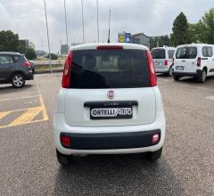 Auto - Fiat panda 1.3 mjt s&s pop van 2 posti