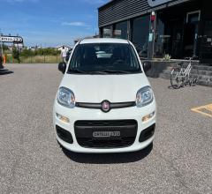 Auto - Fiat panda 1.2 easy van 4 posti