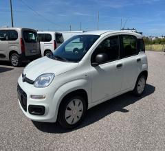 Auto - Fiat panda 1.2 easy van 4 posti