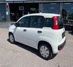 Auto - Fiat panda 1.2 easy van 4 posti