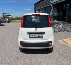 Auto - Fiat panda 1.2 easy van 4 posti