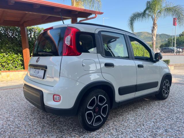 Auto - Fiat panda 1.0 firefly s&s hybrid city life