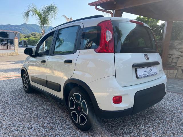 Auto - Fiat panda 1.0 firefly s&s hybrid city life