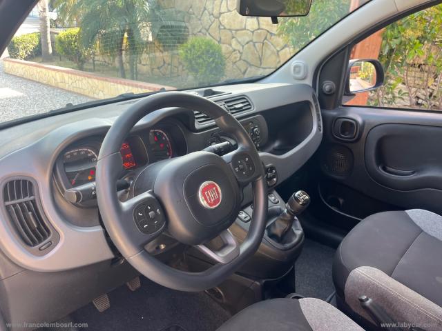 Auto - Fiat panda 1.0 firefly s&s hybrid city life