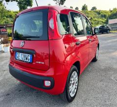 Auto - Fiat panda 1.0 firefly s&s hybrid