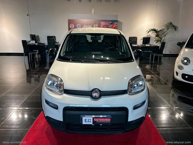 Auto - Fiat panda 1.0 firefly s&s hybrid