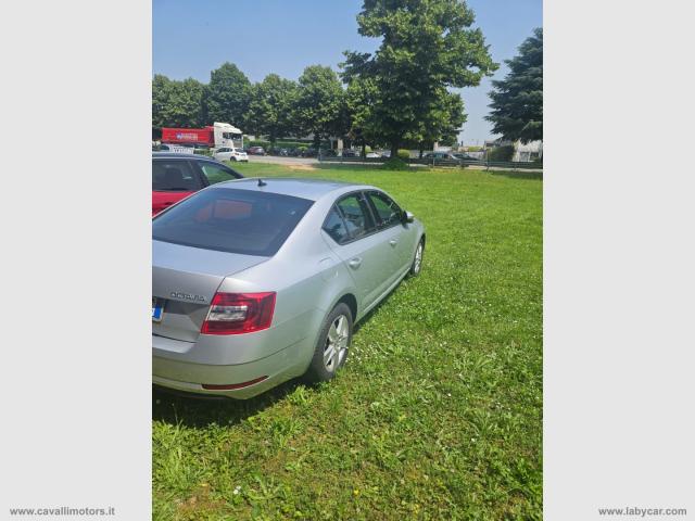 Auto - Skoda octavia 1.6 tdi cr 115 cv active