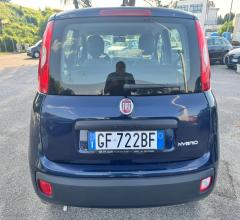 Auto - Fiat panda 1.0 firefly s&s hybrid