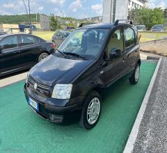 Auto - Fiat panda 1.2 dynamic gpl