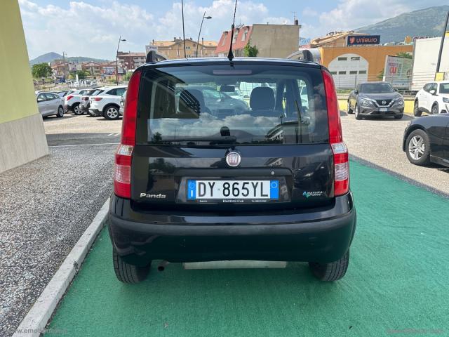 Auto - Fiat panda 1.2 dynamic gpl