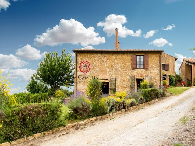 Casa vacanze in toscana con piscina - affitto settimanale