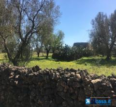 Appartamenti in Vendita - Galatina, terreno agricolo di circa 12.500 mq con trulli