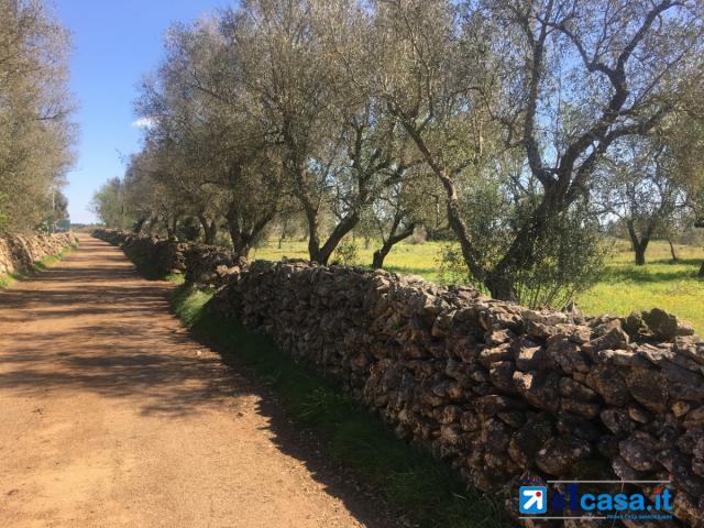 Case - Galatina, terreno agricolo di circa 12.500 mq con trulli