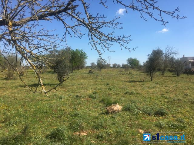 Appartamenti in Vendita - Galatina, terreno agricolo di circa 12.500 mq con trulli