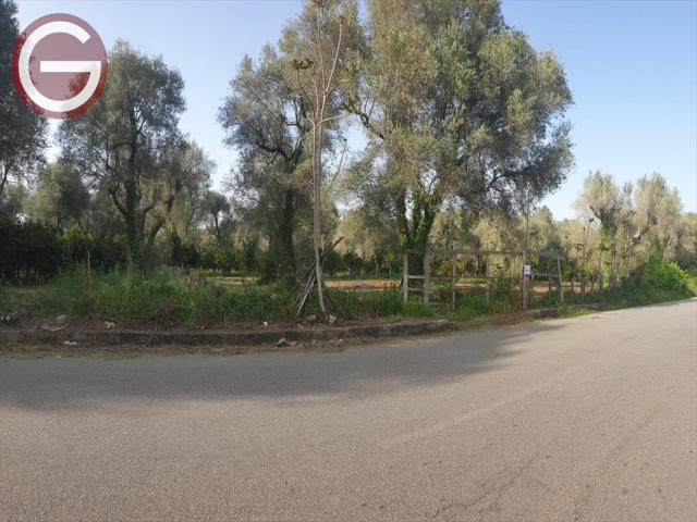 Appartamenti in Vendita - Terreno agricolo in vendita a taurianova centrale