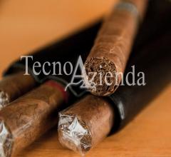 Case - Tecnoazienda - tabaccheria lotto edicola