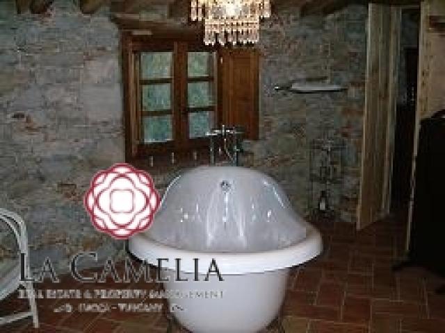 Case - Borgo toscano come attività di b&b - lucca colline -