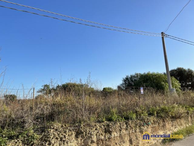 Appartamenti in Vendita - Citarrella