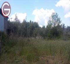 Appartamenti in Vendita - Terreno industriale in vendita a cittanova periferia