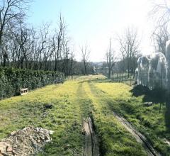 Case - Porzione di casa semi indipendente da terra a tetto con ampio giardino privato da ristrutturare