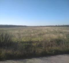 Appartamenti in Vendita - Terreno agricolo in vendita a cerignola san marco