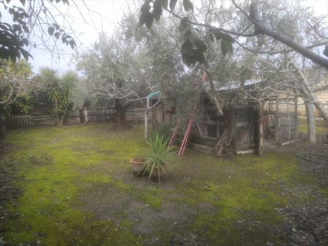 Terreno agricolo in vendita a cerignola via torre quarto