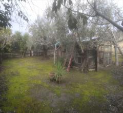 Terreno agricolo in vendita a cerignola via torre quarto