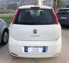 Auto - Fiat punto 1.3 mjt ii s&s 85 cv 5p.eco street