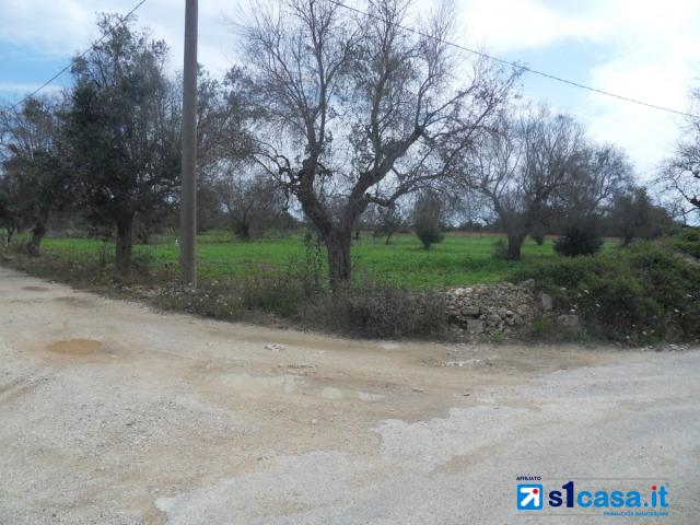 Case - Galatone terreno agricolo in c.da camascia